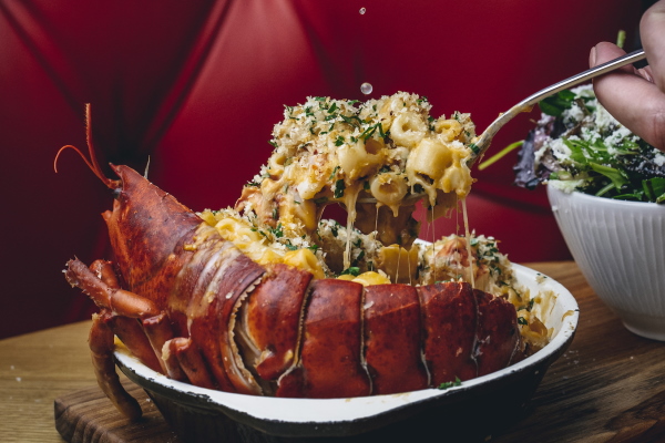 B&amp;L dish @lateef.photography-9