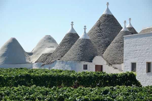 Traditional Trulli Houses and Vines in Puglia